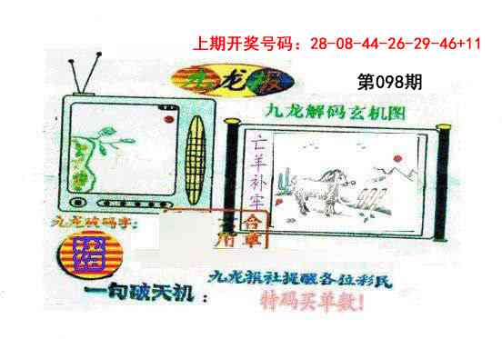 098期九龙报[图]